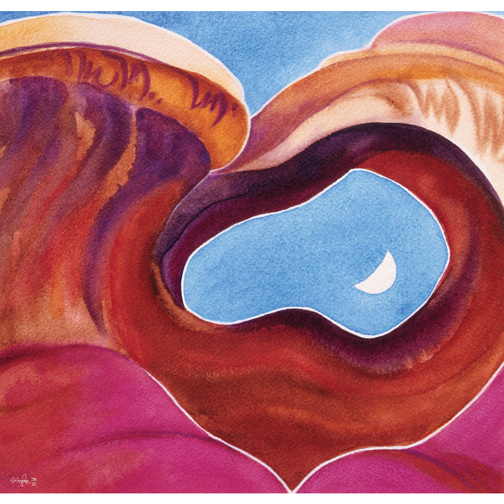 2027 Calendar by Serena Supplee