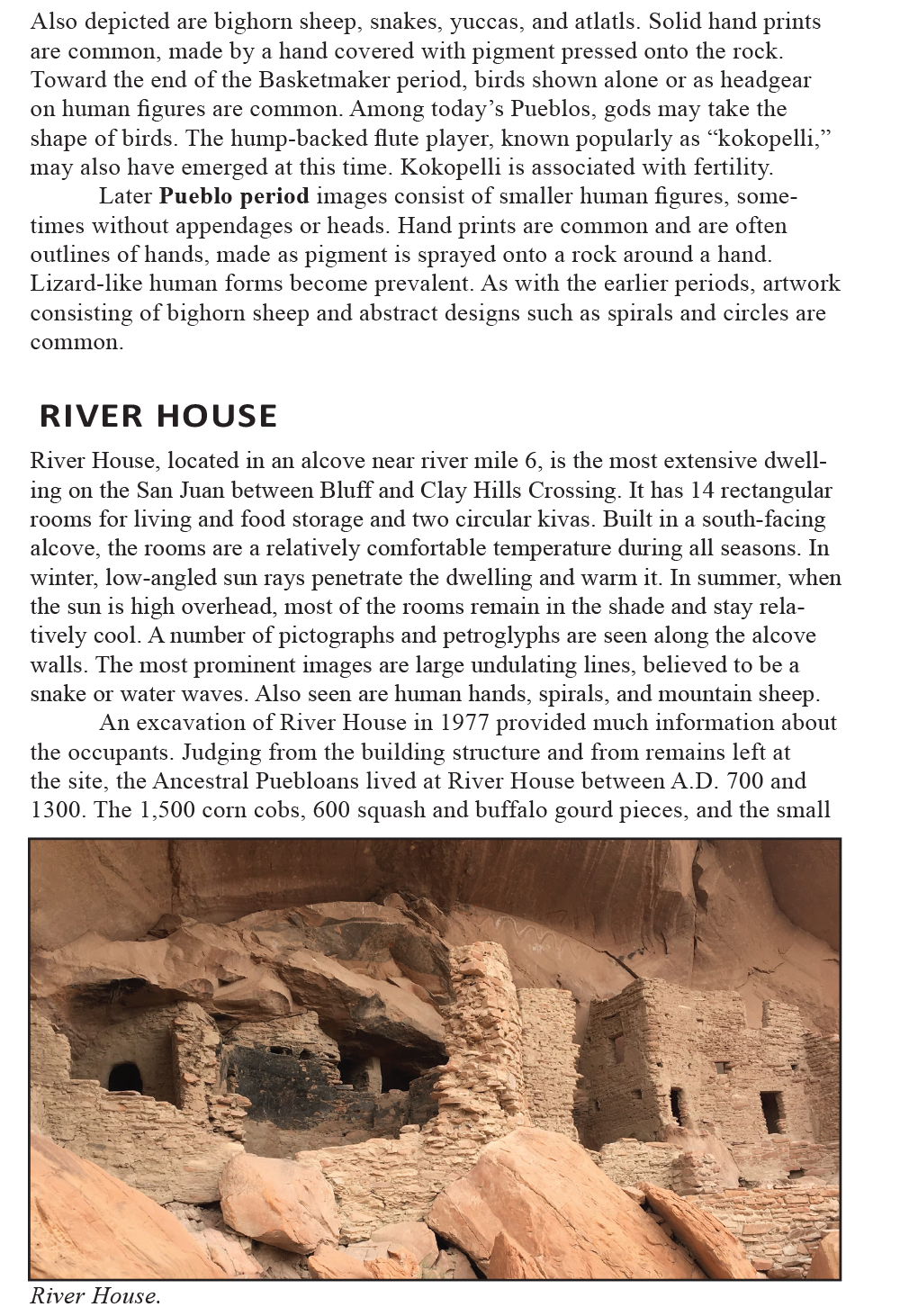 San Juan River Guide by Lisa Kearsley
